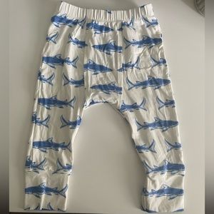 Shark Print Panda Pants